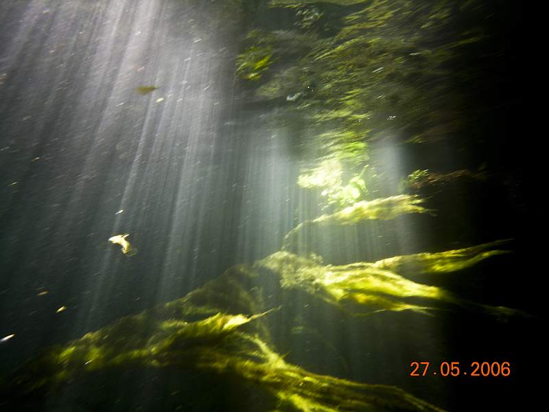 DSCN0161.jpg