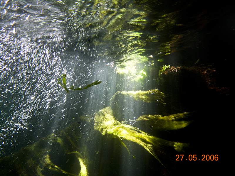 DSCN0162.jpg