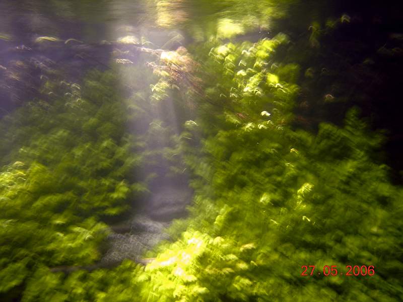 DSCN0165.jpg