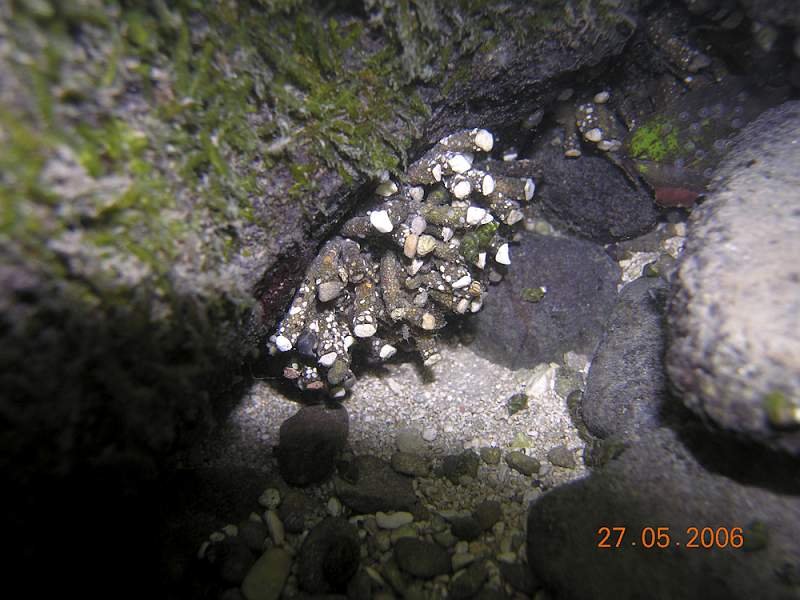 DSCN0182.jpg