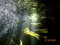 DSCN0162