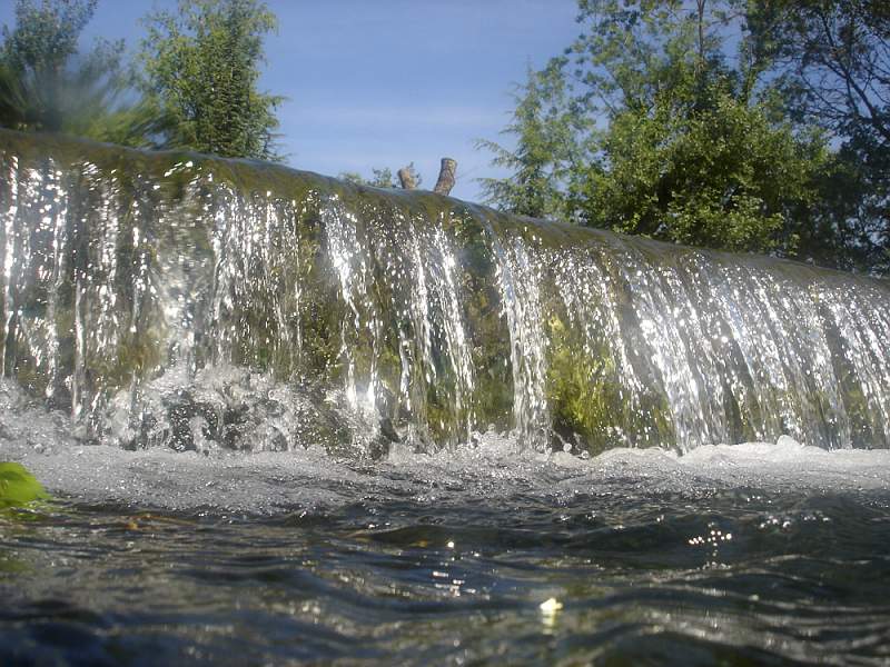 DSC00094.jpg