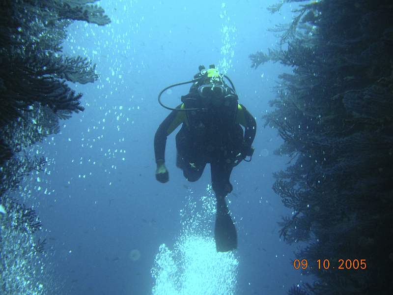 DSCN3614.jpg