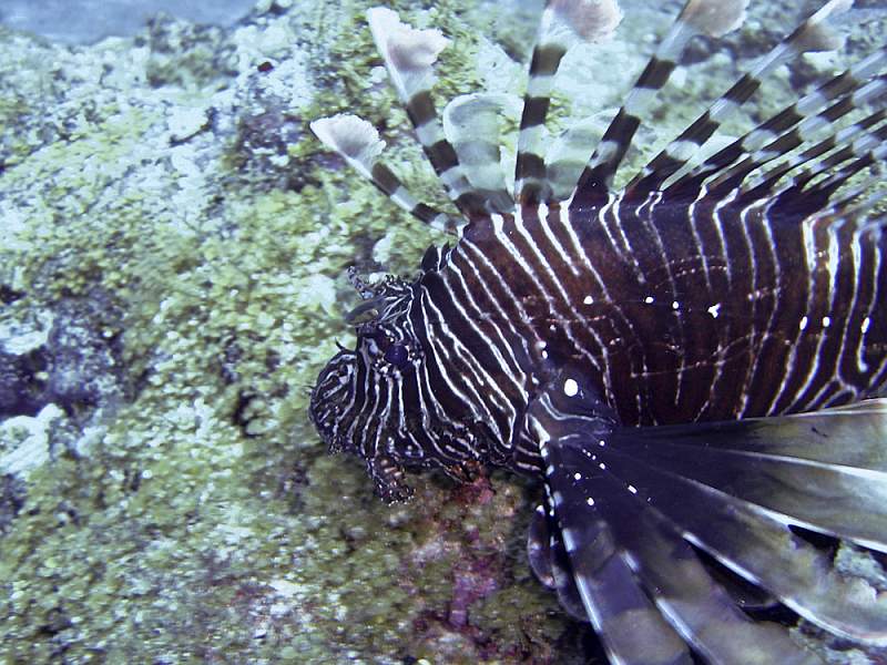 maldives-2.jpg
