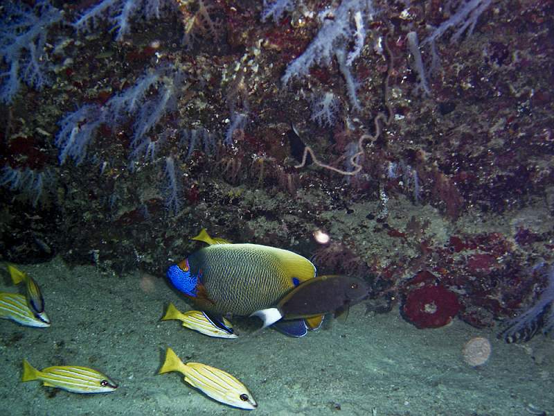 maldives-8.jpg