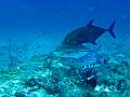 maldives-5