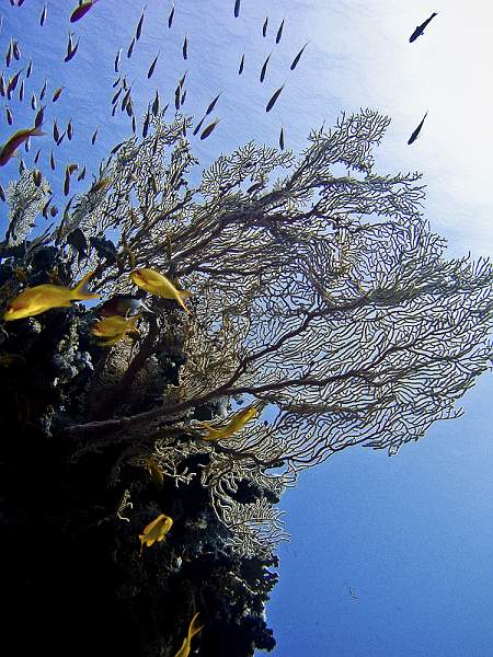 CRW_5790.jpg