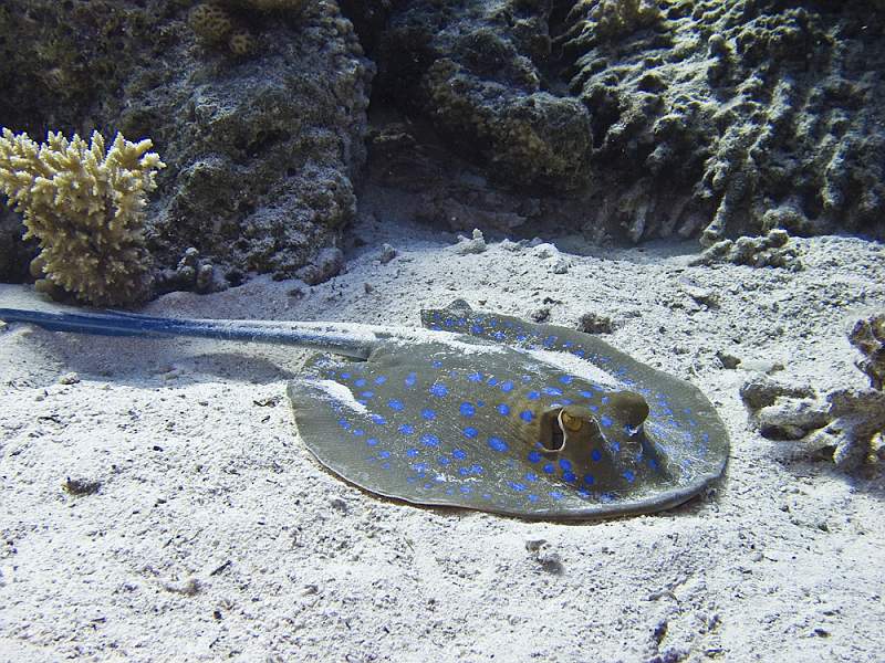 CRW_5878.jpg