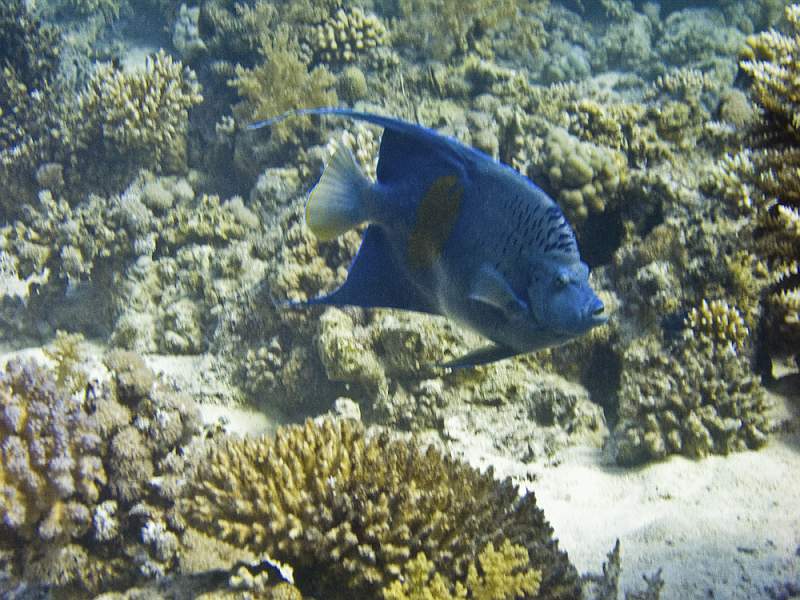 CRW_5949.jpg