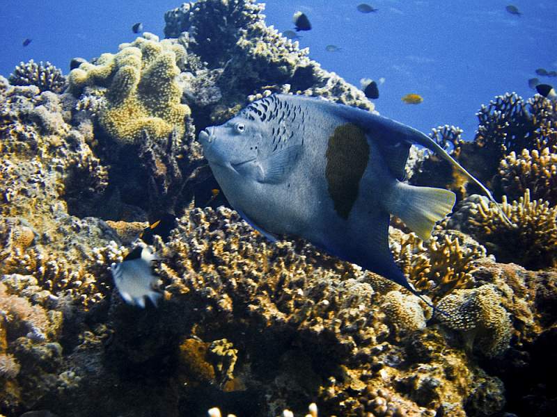 CRW_5965.jpg