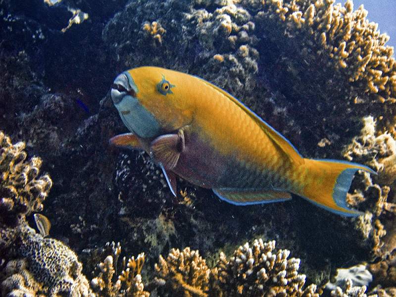 CRW_5967.jpg