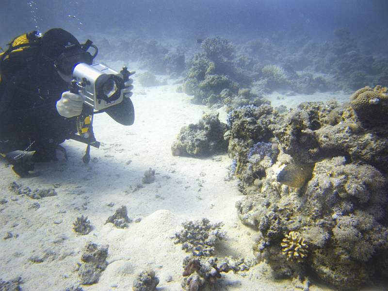 safaga7216.jpg